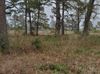 14830 Farm To Market 2920 - on Stuart Private Road photo
